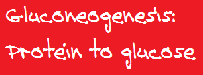 Gluconeogenesis is protein to glucose